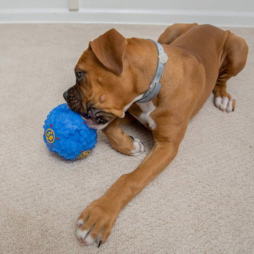Interactive Dog Chew Toy Ball with Treat Dispenser - Durable Food-Dispensing Squeaky Toy for Teething Puppies & Dental Health, All Breeds, Black with Green & Yellow Patterns, Plastic Material
