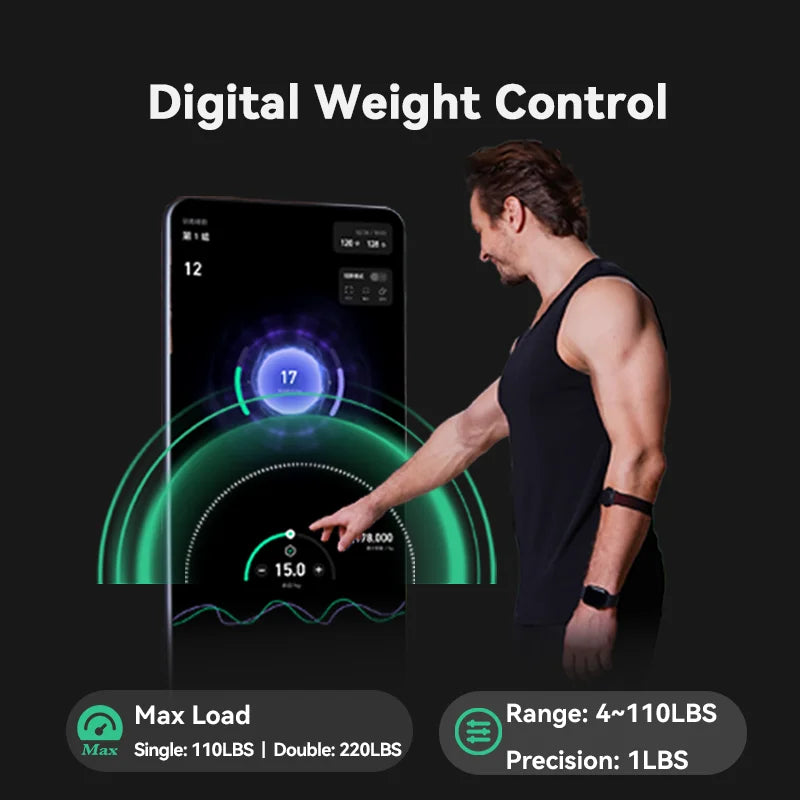 Corporate Fitness Solution Complete Gym Equipment Machine for Body Building Exercise Leg and Back Training