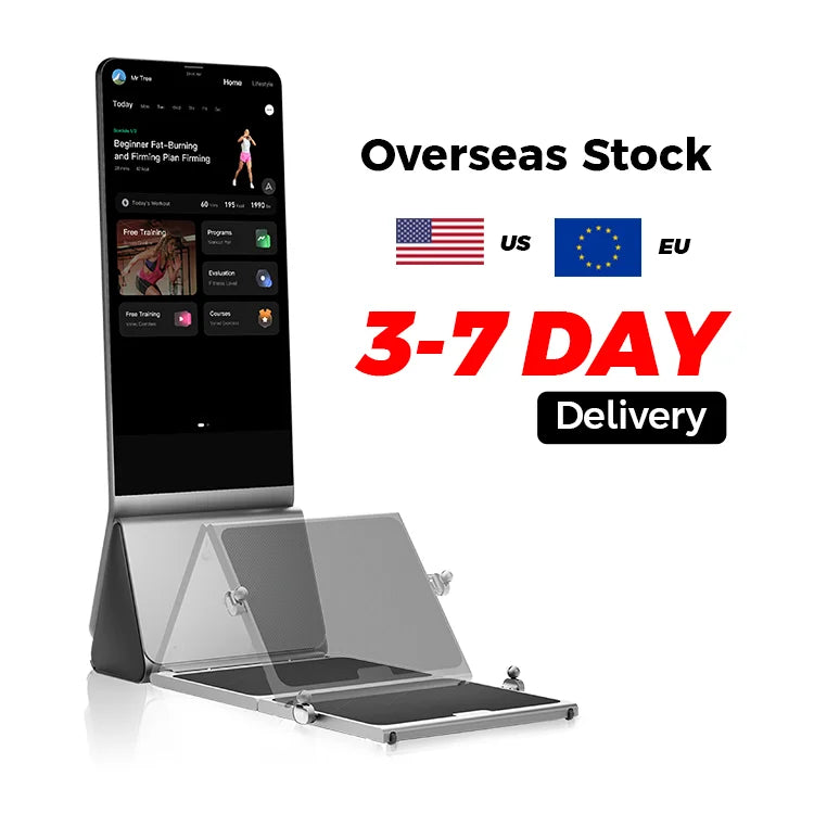 Corporate Fitness Solution Complete Gym Equipment Machine for Body Building Exercise Leg and Back Training