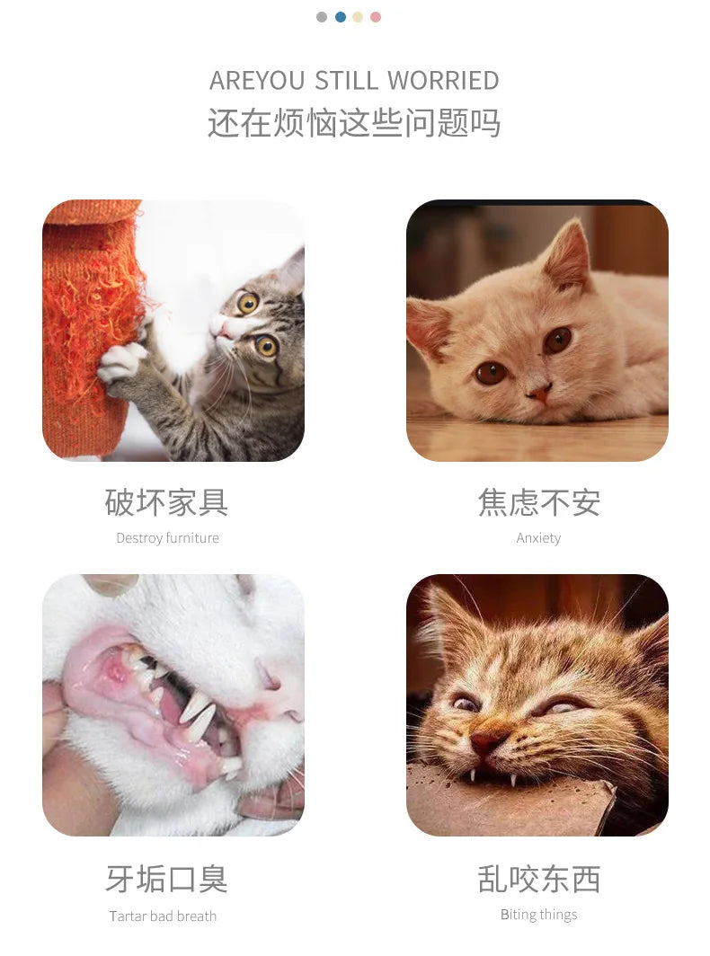 Cat Toy Mouse Contains Rattonite Bite Resistant Pet Supplies Interactive Cat Toy Plush Mouse Juguetes Para Gatos Rascador Gato