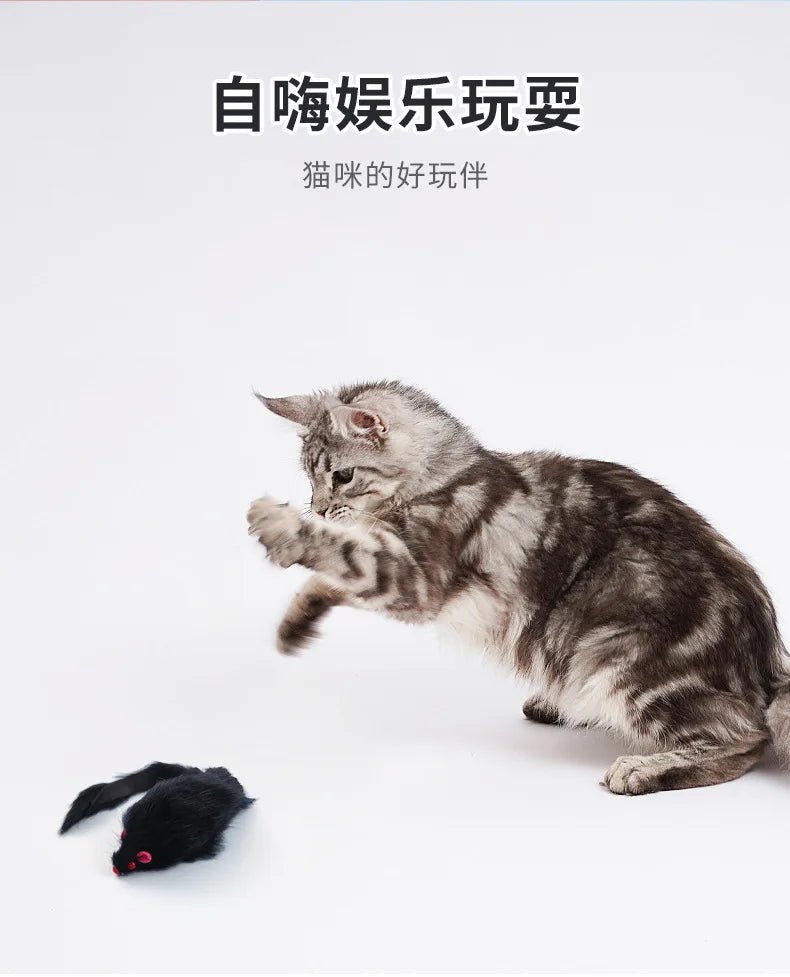 Cat Toy Mouse Contains Rattonite Bite Resistant Pet Supplies Interactive Cat Toy Plush Mouse Juguetes Para Gatos Rascador Gato