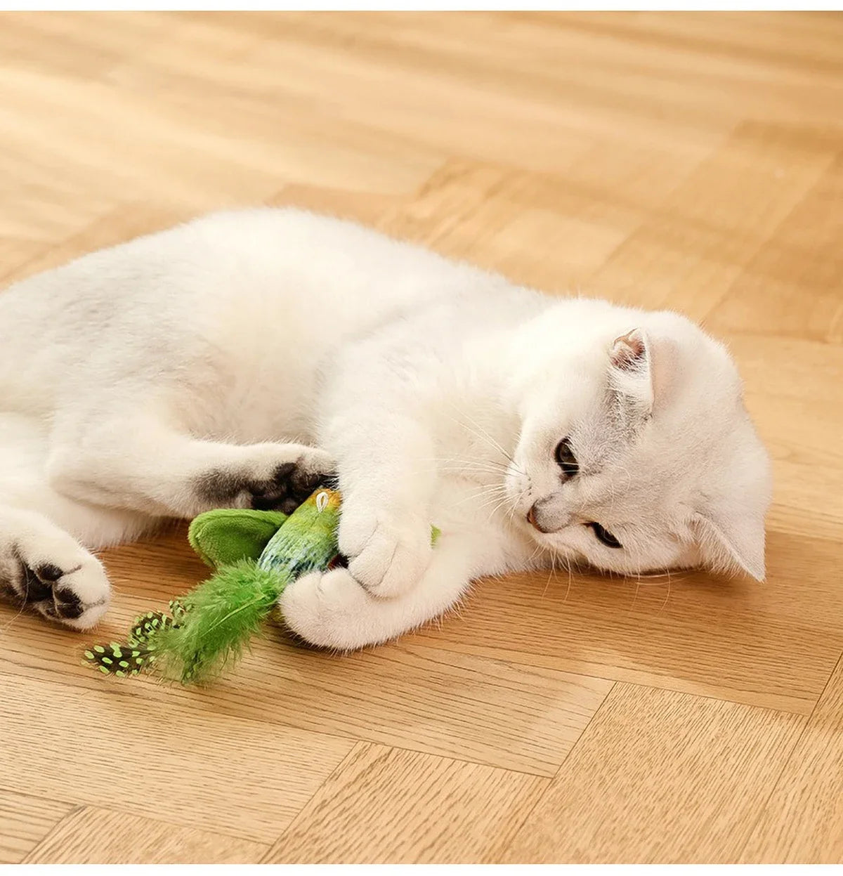 Automatic Chirping Cat Toy - Motion Activated with Catnip & Feathers, Chew-Proof Interactive Pet Game for Indoor Kittens