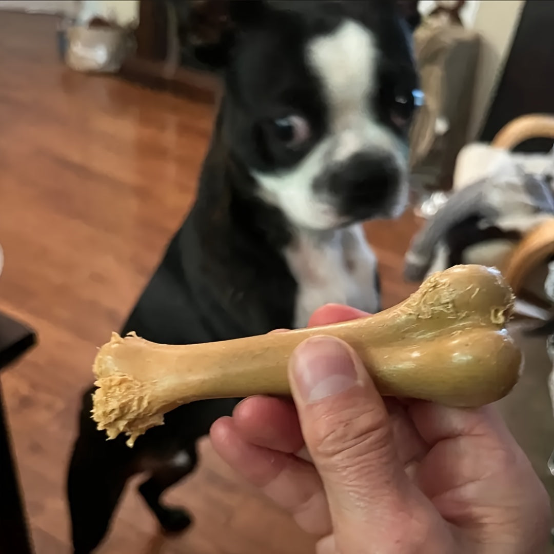 Durable Beef Flavored Dog Chew Toy, Polypropylene Bone Shaped Teeth Cleaning Chew for All Breed Sizes, Interactive Training Pet Toy for Oral Care and Dental Health