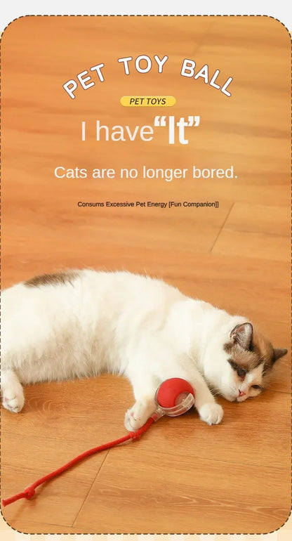 Cat Toys for Cats Ball Dog Toy Ball Electronic Interactive Pet Toy USB Automatic Moving Bouncing for Puppy Cat Products