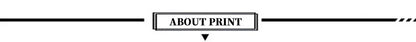 Bear Pride Flag Printed Shirt Hawaiian Shirts Summer Women For Men Tops
